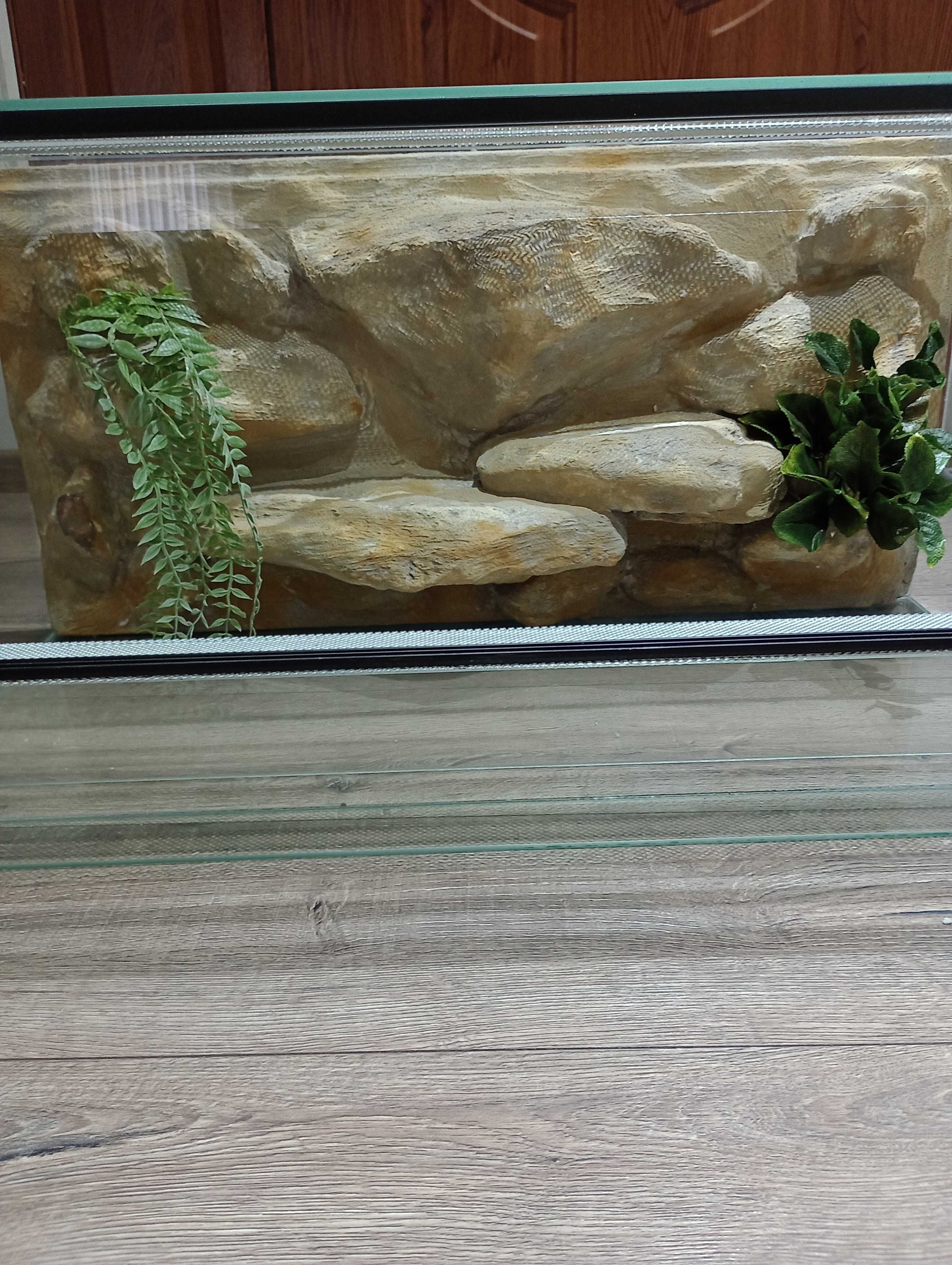 Terrarium agama gekon wąż żółw