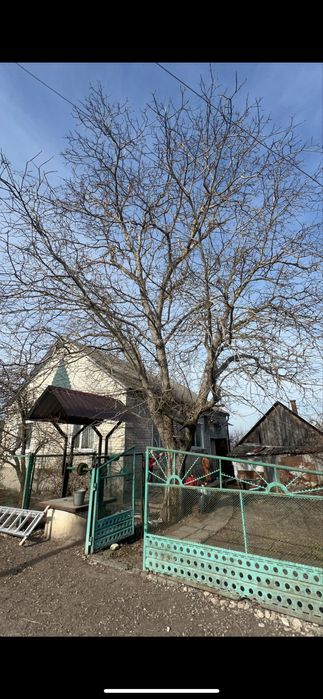 Зрізати дерево, кронування, валка, корчування пеньків,зачистка ділянки