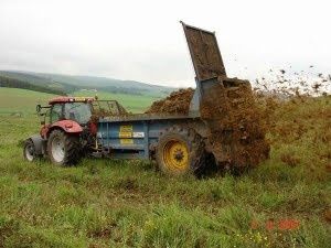 Навоз, гній коровячий. Дрбриво для городу.