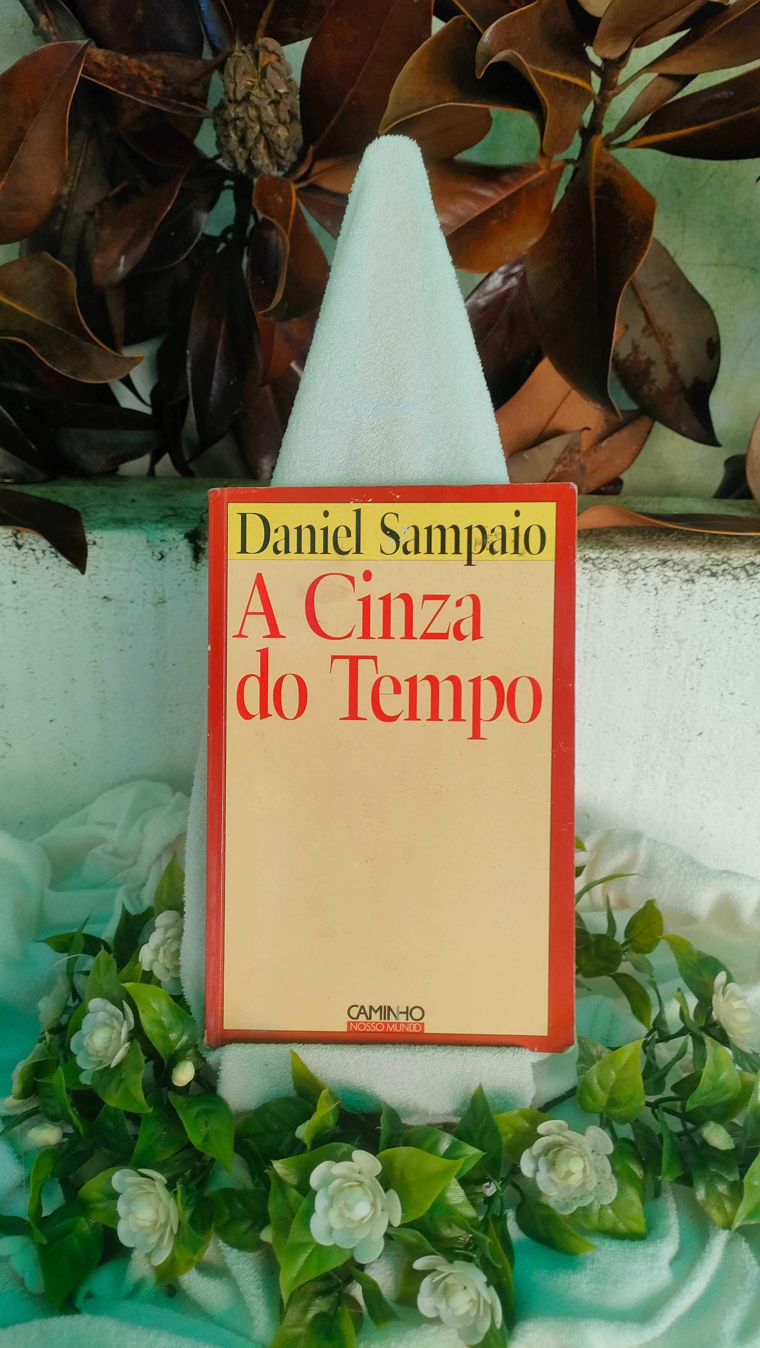 A Cinza do Tempo - Daniel Sampaio