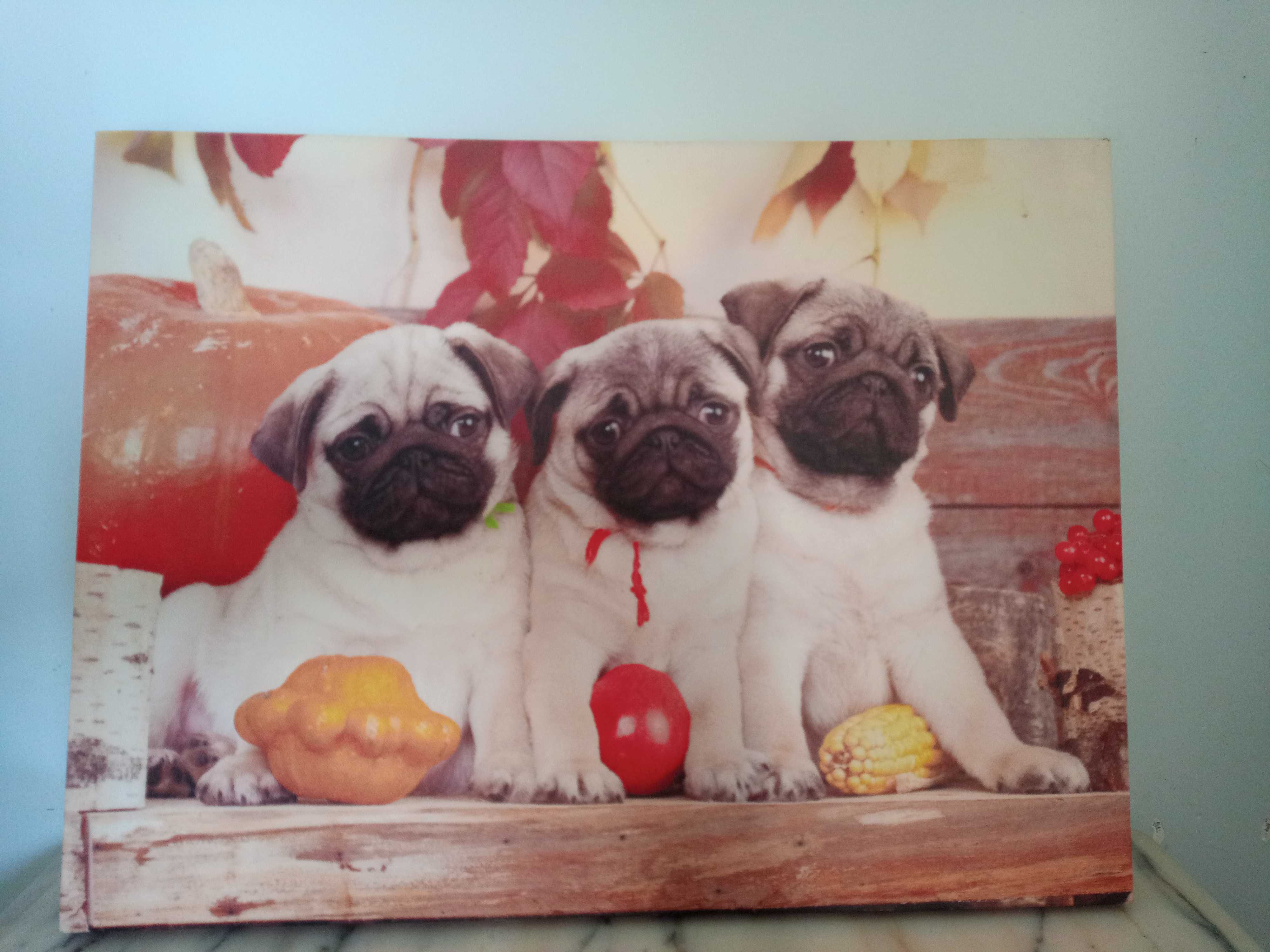 Tela Decorativa com Desenho de Cães Pug