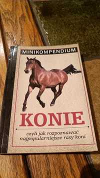Minikompendium Konie