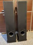 Kolumny podłogowe Sonus Faber Chameleon T z panelami piano black