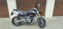 Honda FMX Honda fmx 650