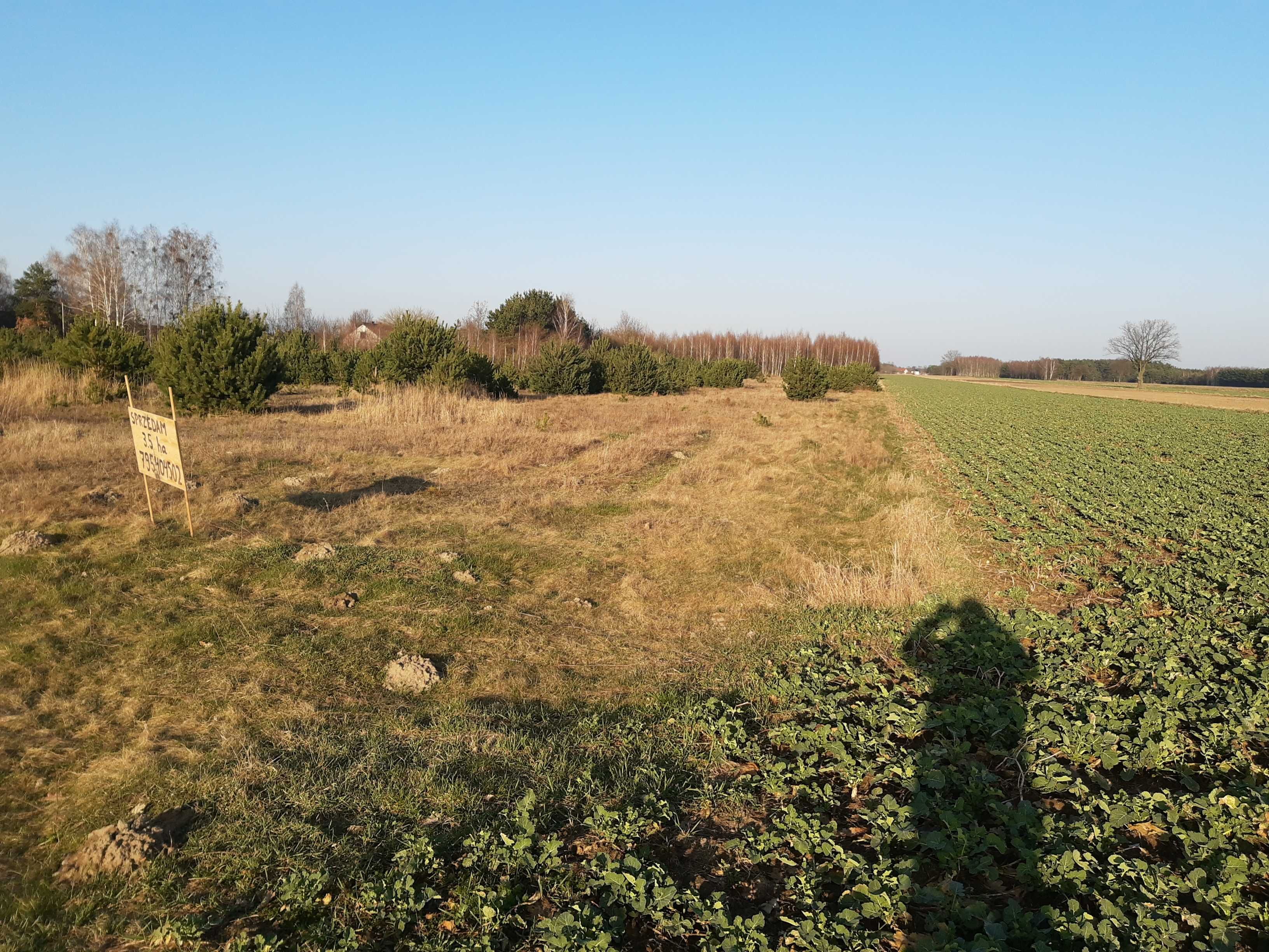 Sprzedam działki budowlane