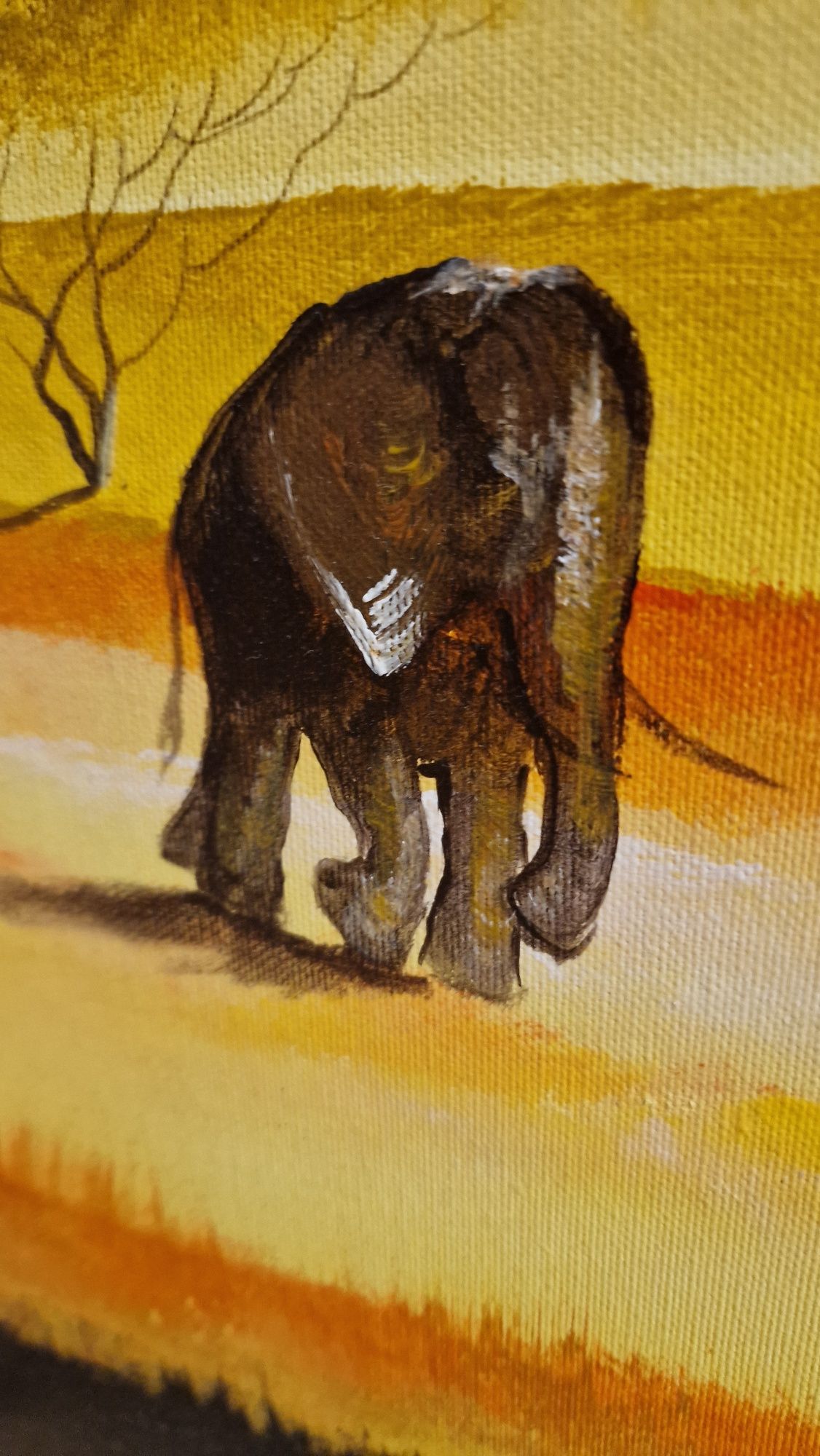 Obraz tryptyk 60x60 Jezierski Afryka