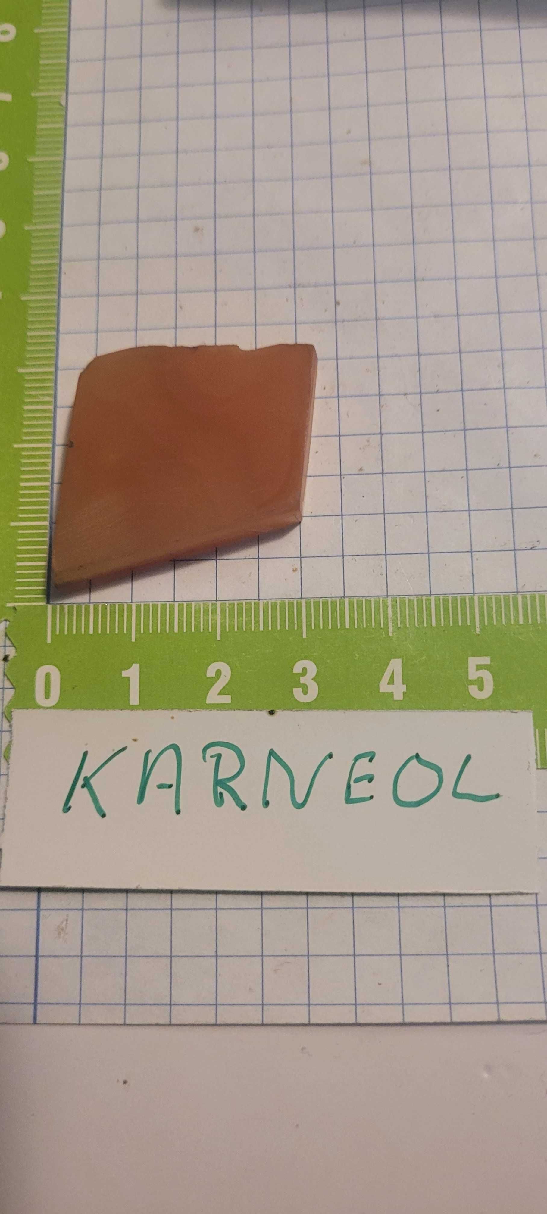 Minerały skamieliny