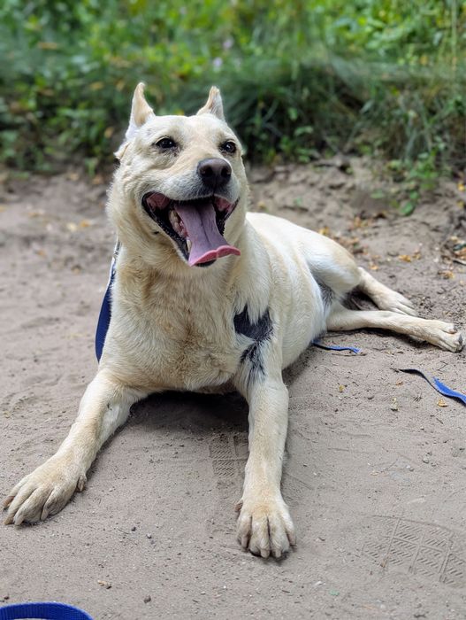Kto pokocha cudowną Ednę?
