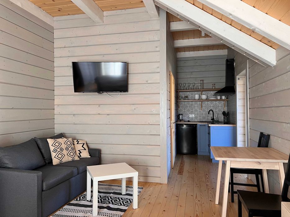 СУЧАСНИЙ БУДИНОК, відпочинок В КАРПАТАХ біля річки та лісу, зал 30м2