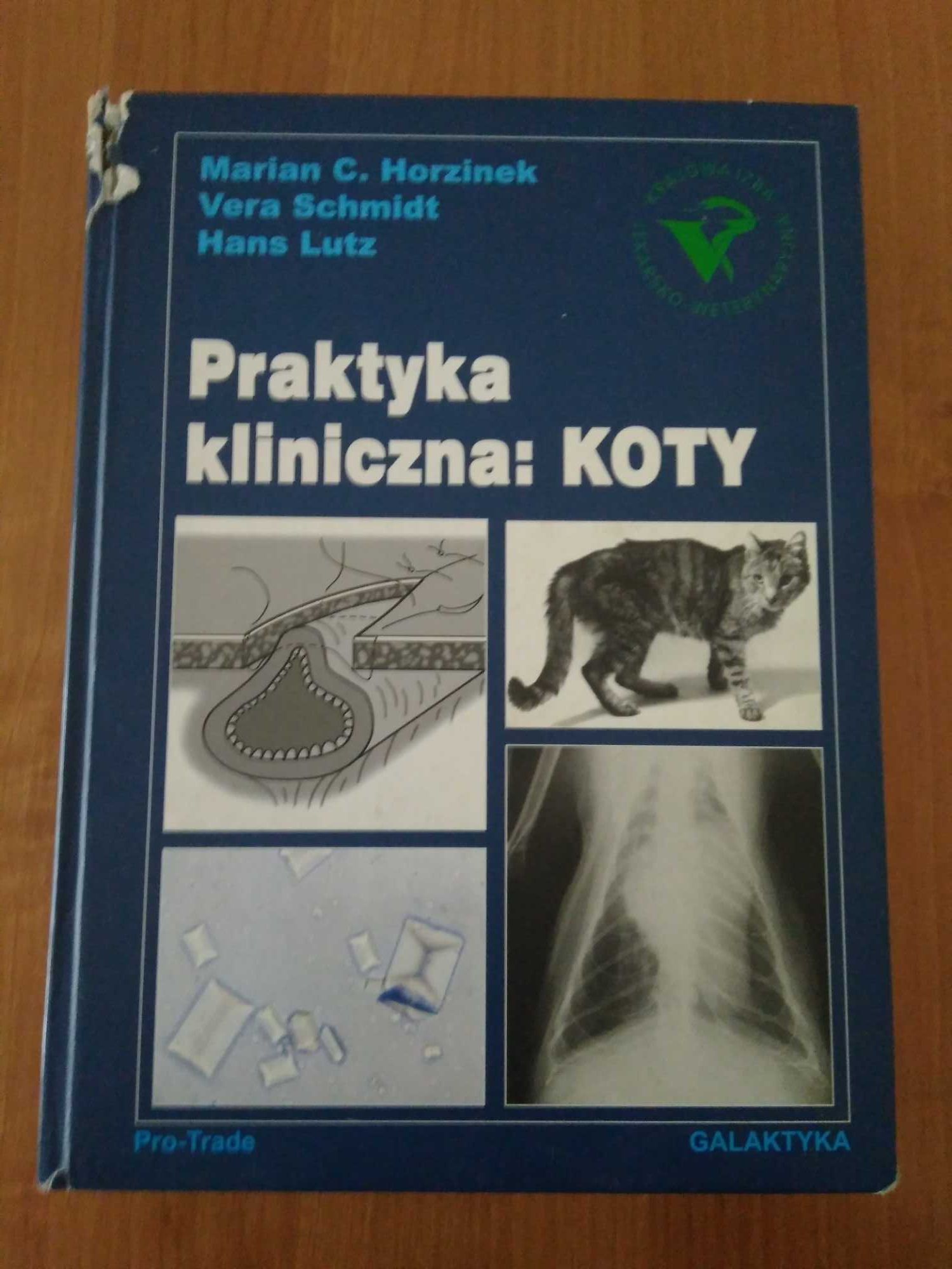 Praktyka kliniczna: KOTY wyd. Galaktyka WETERYNARIA