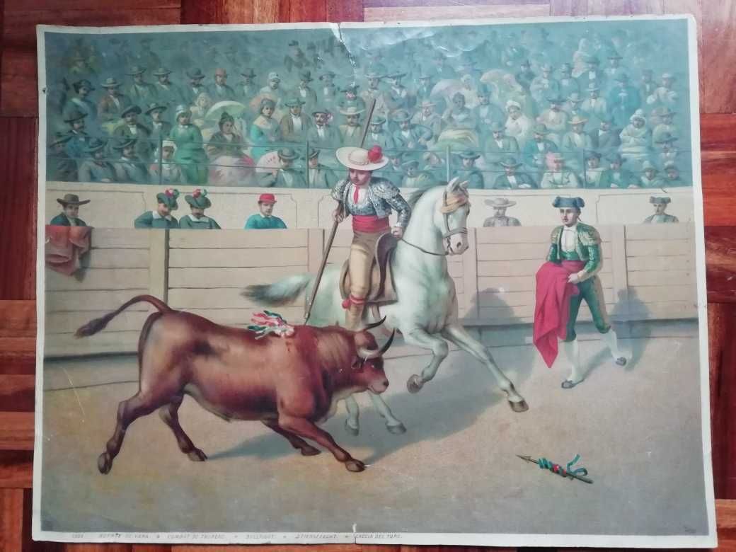 Gravura - Picador e touro - Tourada à espanhola