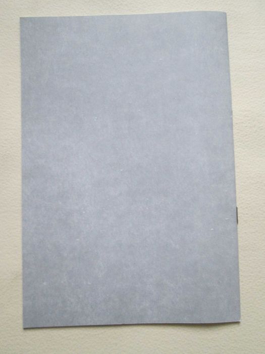 Ніл Хасевич. Графіка. 1992р.