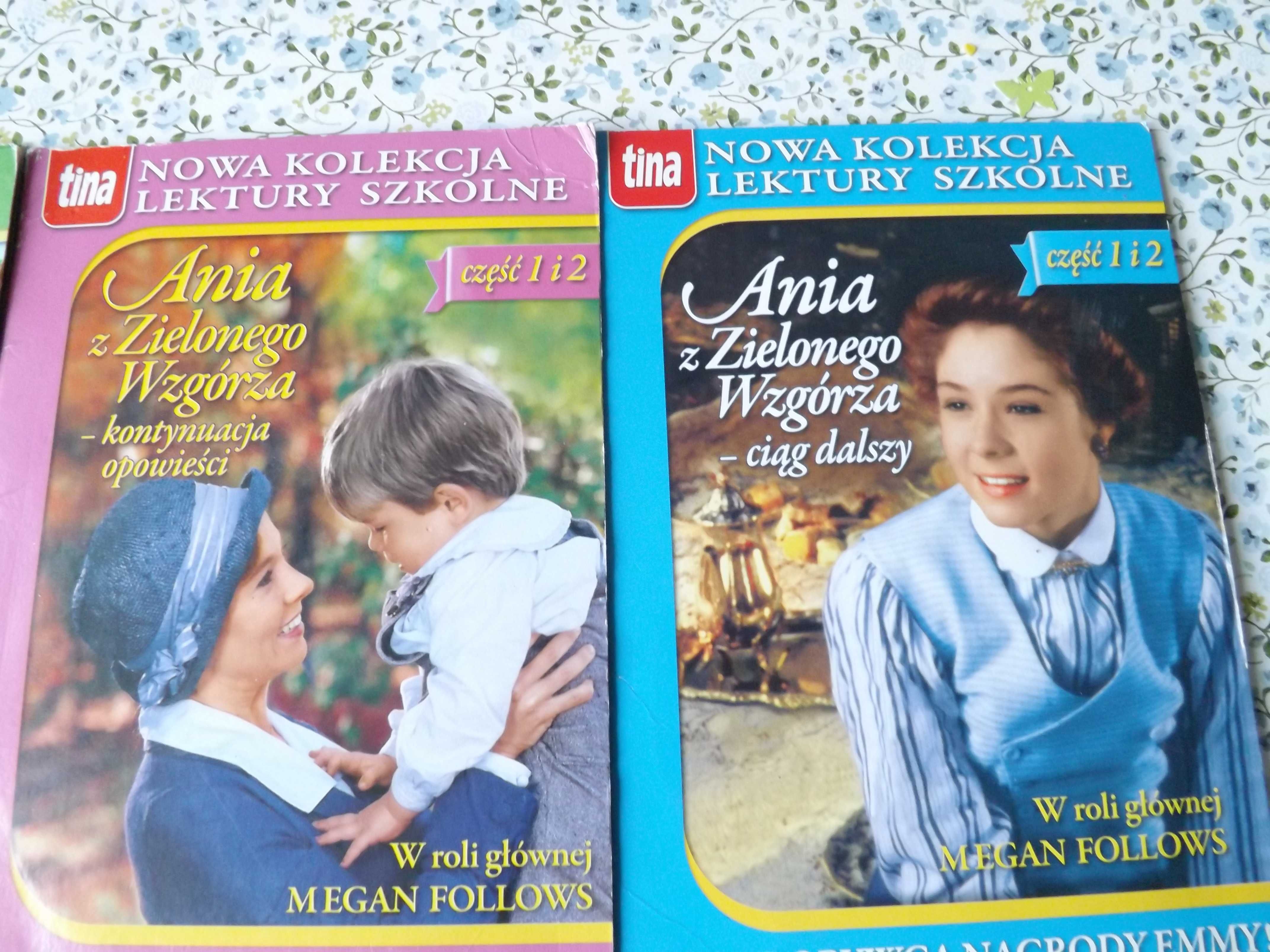 Ania z zielonego wzgórza bajka film lektura unikat klasyka