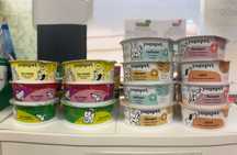 Yogupet jogurt/lody dla psa i kota
