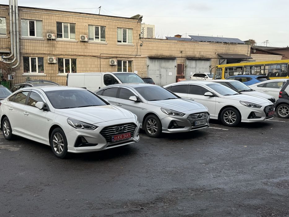 Оренда автомобіля Sonata LF/Sonata new rise
