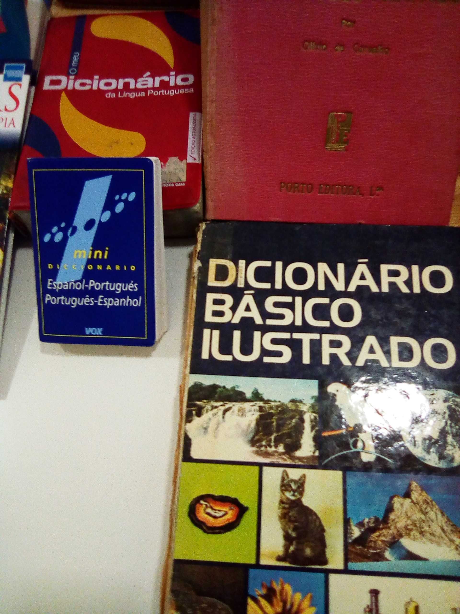 dicionários diversos