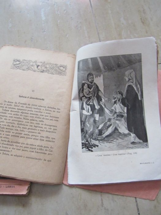 Brochuras Santa Maria Magadalena de Garibaldi Falcão, 5 tomos