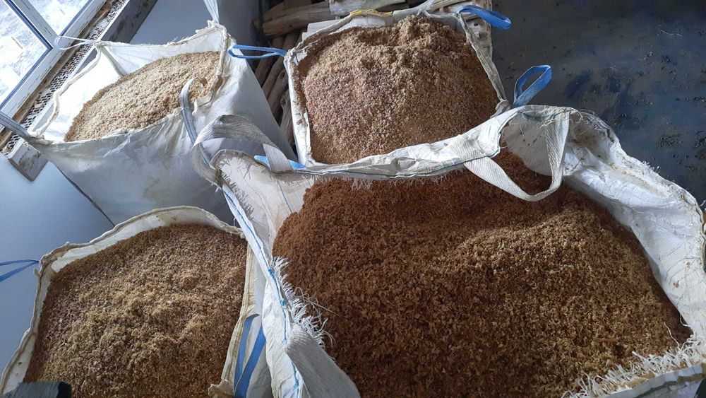 Trociny suche  dębowe  Trocina akacjowa