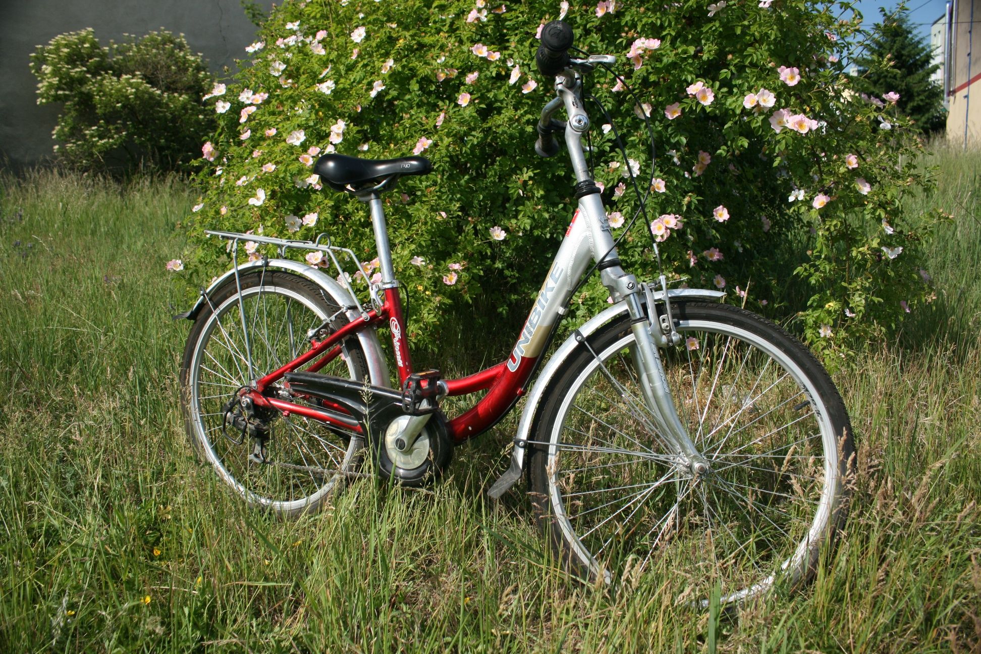Rower Unibike Princess 24''