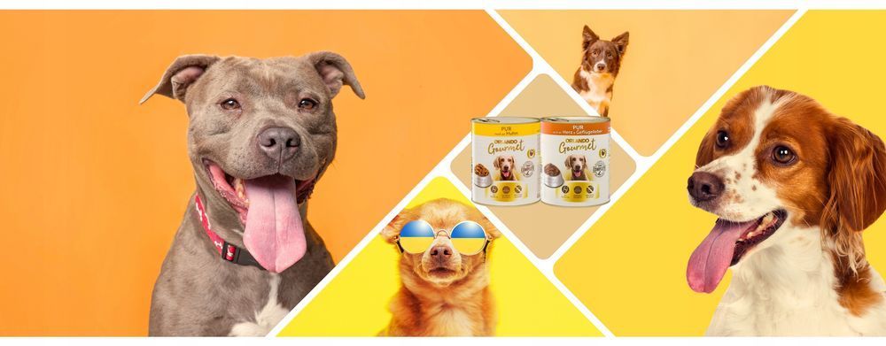 Karma Mokra Orlando Pur Gourmet 8 X 800 G - Mix Smaków Dla Psów