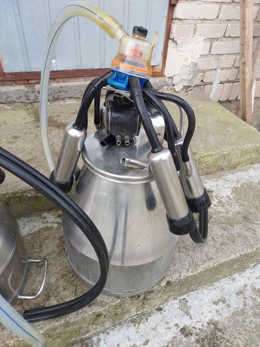 Bańka udojowa ze stali nierdzewnej