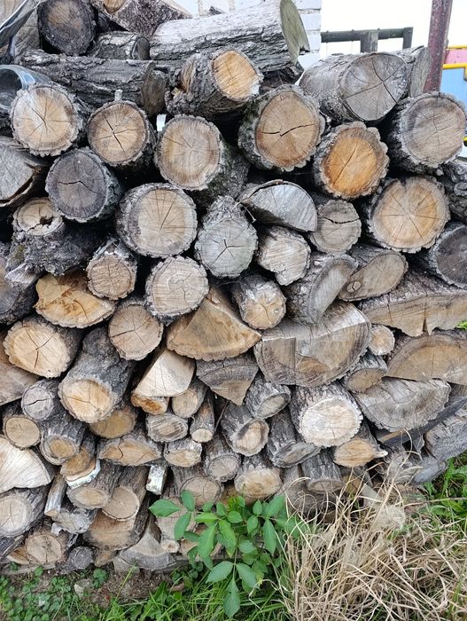 Drewno kominkowe, opałowe dąb, jawor, suche