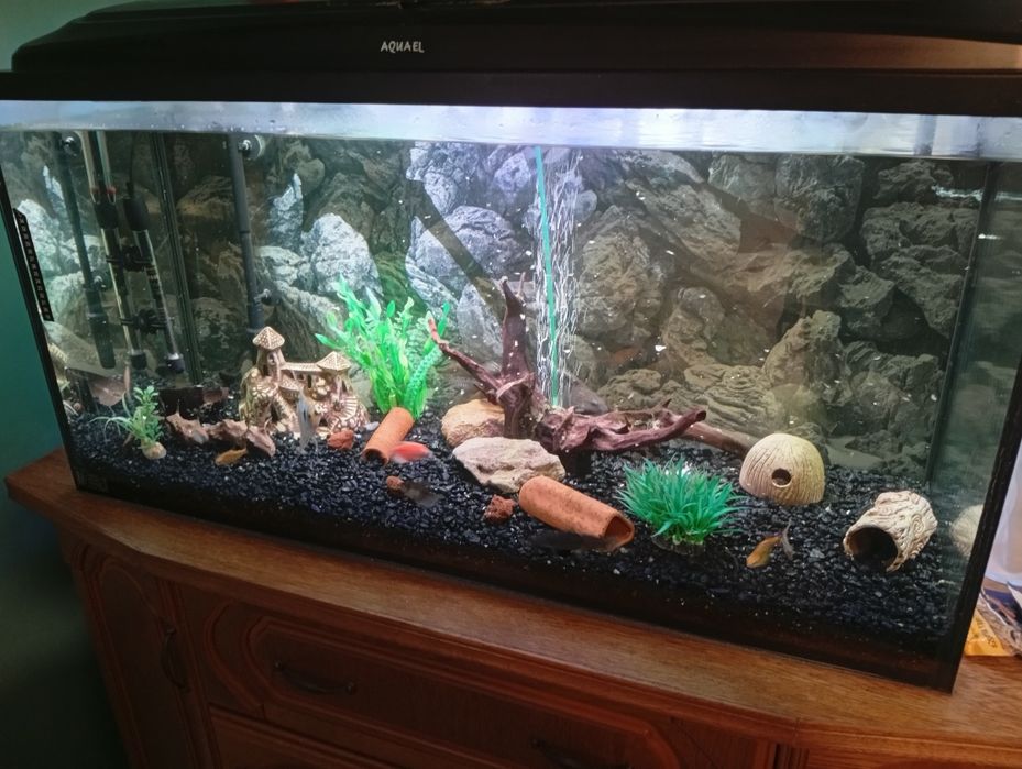 Akwarium Aquael i całe życie