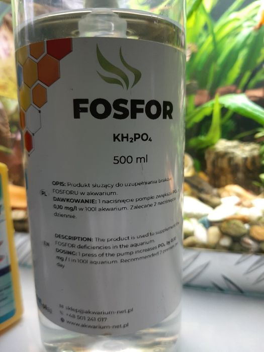 Pozostałości po akwarium