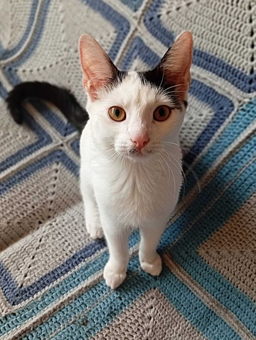 Zakochaj się w Marianku < 3