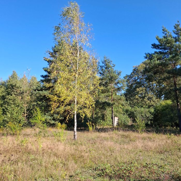 Działka Budowlana z WZ -Jedlicze B 1000 m2 , ogrodzona, media