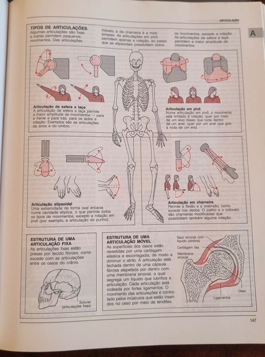 Enciclopédia de Medicina 2 volumes