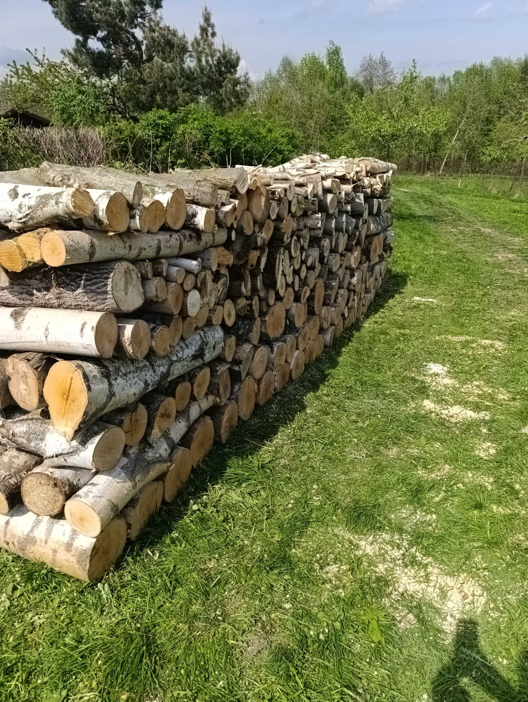 drewno opałowe liściaste brzoza 11,5 m3