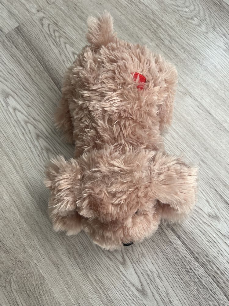 Pluszak z bijącym sercem dla zwierząt