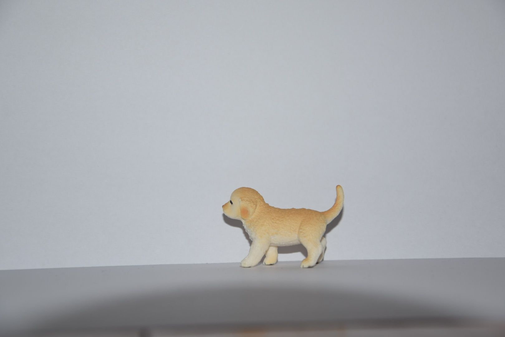 Mały labrador, szczeniak Schleich