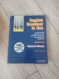 English grammar in use Raymond Murphy