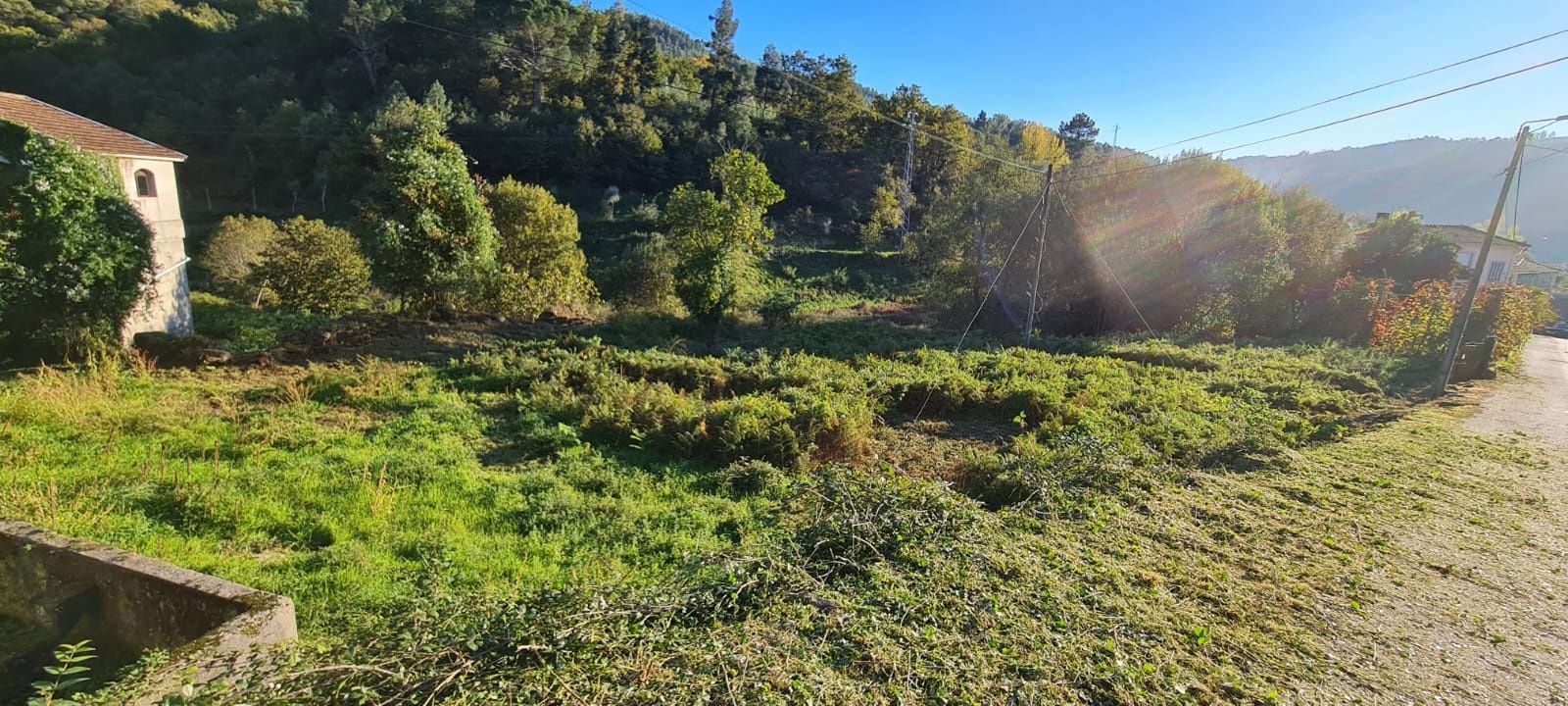 Limpezas de terrenos e jardineiro