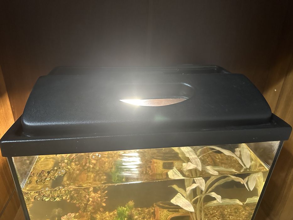 Срочно!! Продам аквариум 50 л с рыбками