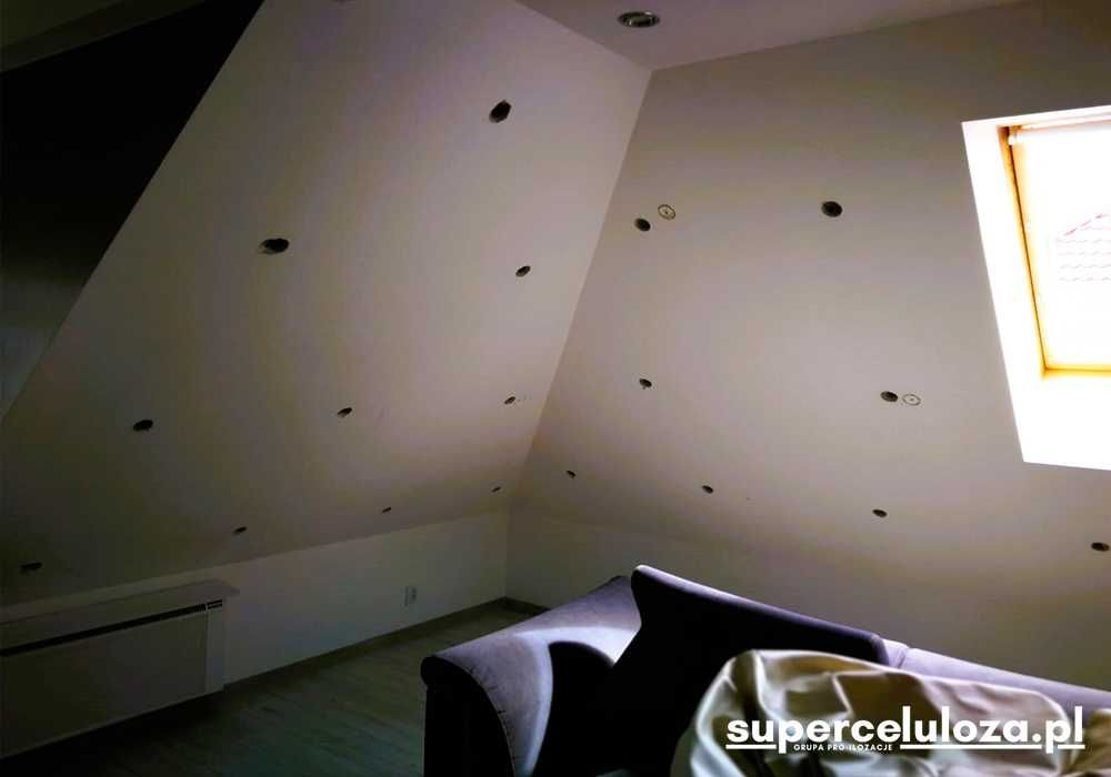 Celuloza | Naprawa dachu po kunie | Docieplanie pianką | Termowizja