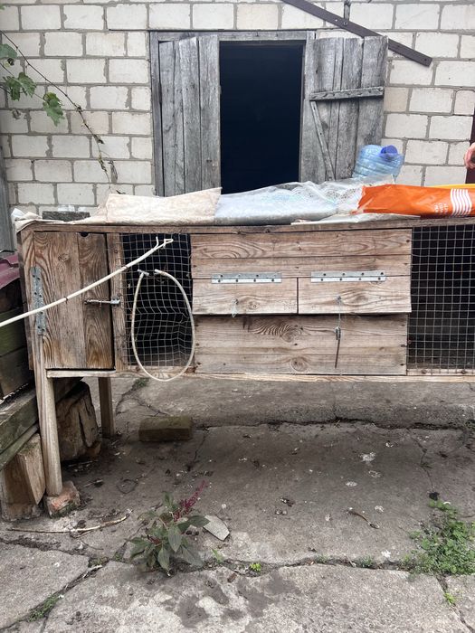 Клітки для кролів