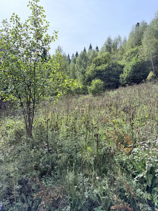 Земельна ділянка Славсько