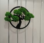 Obraz  Bonsai z  mchem 30cm