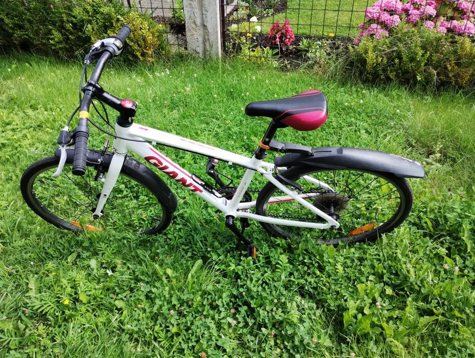 Rower GIANT ESCAPE JUNIOR na kołach 24" - rama aluminium - Shimano 1x7