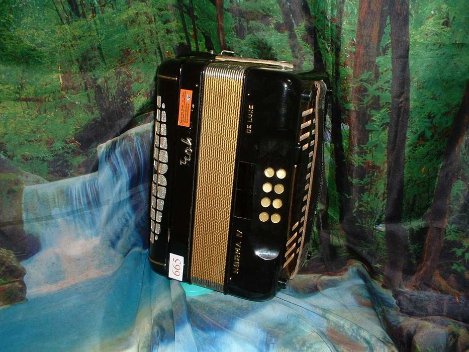 Concertina a venda n.665