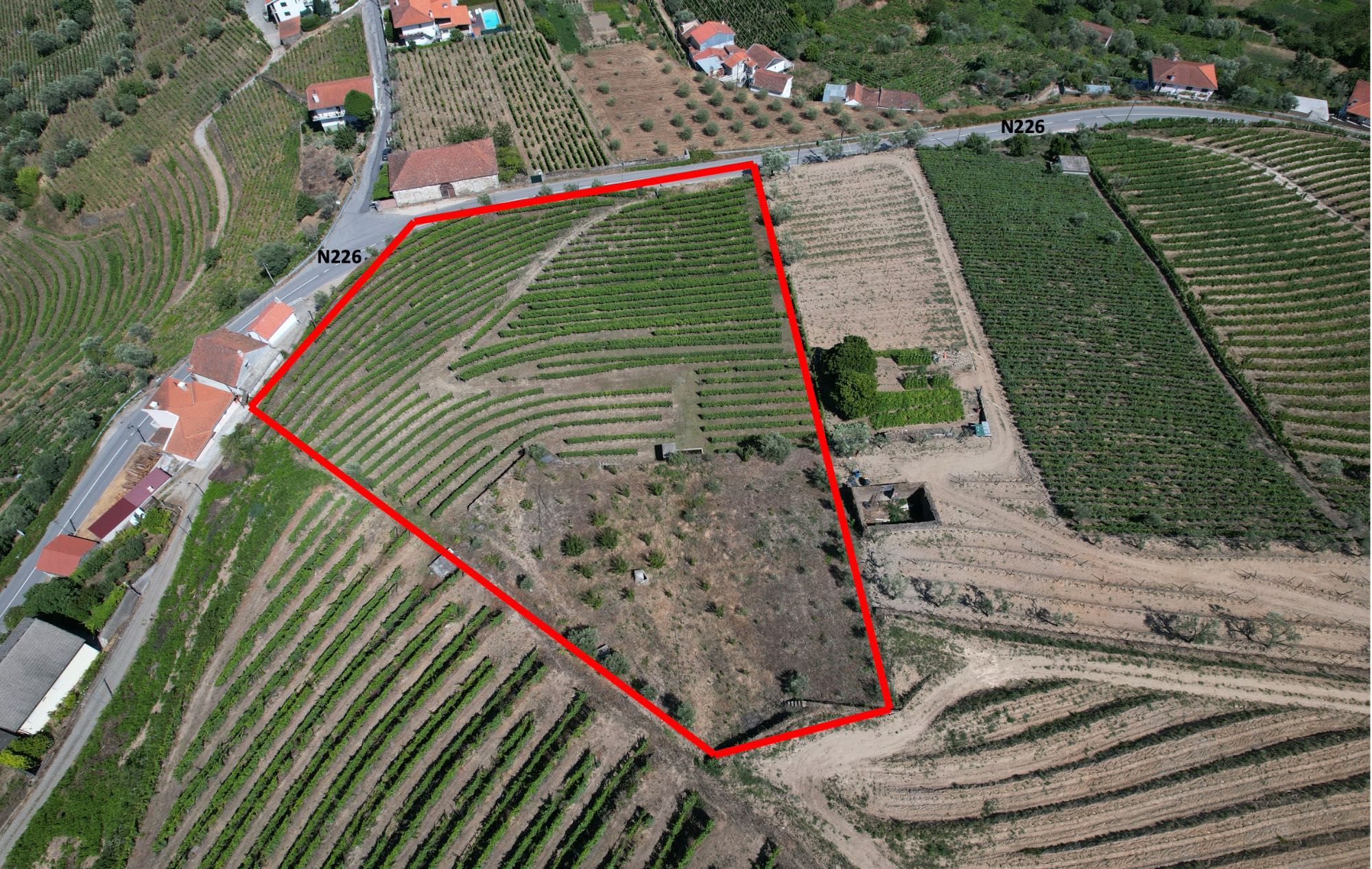 Vende-se Terreno no Alto Douro Vinhateiro