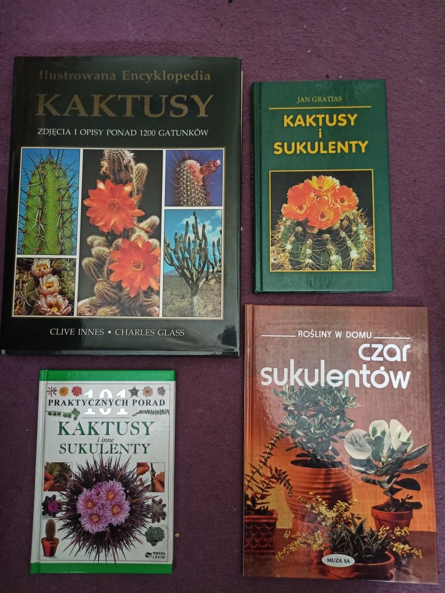 Kaktusy i sukulenty 101 porad encyklopedia poradnik