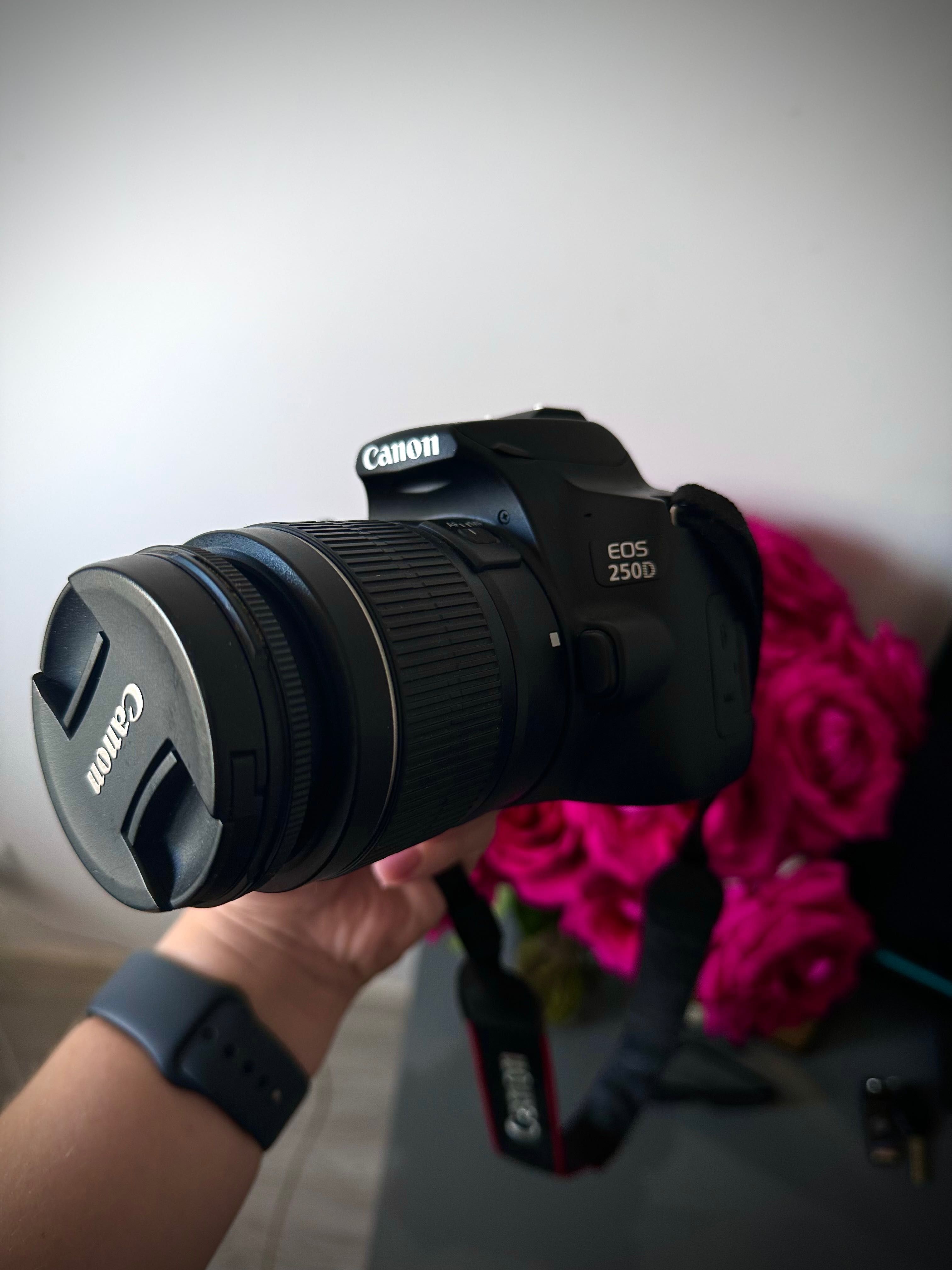 Kamera Canon 250D