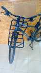 bicicleta cidade / touring Landscape Coluer