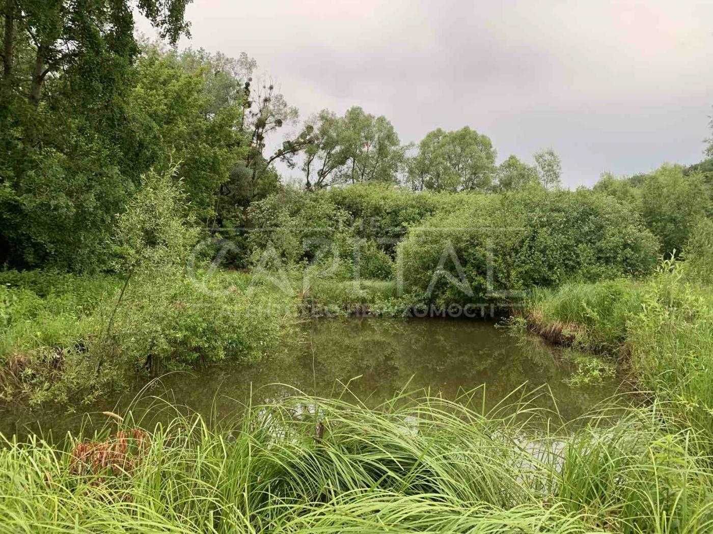 Великі Дмитровичи, Підгірці Безрадичі Обухівський  ділянка 32сотки