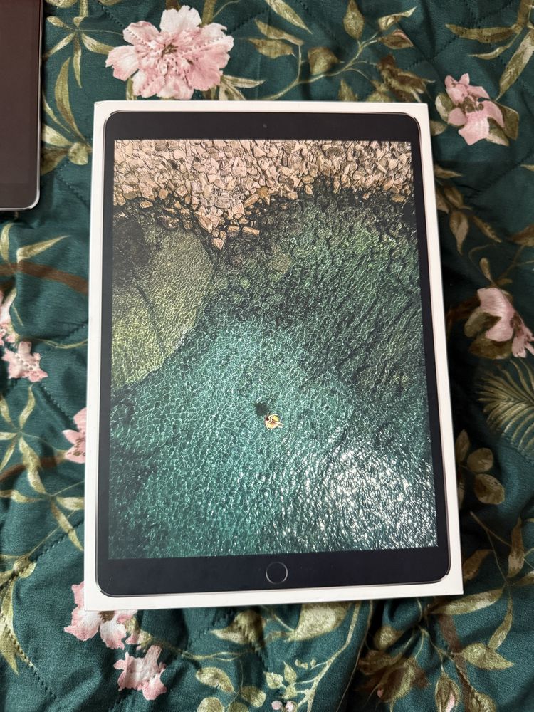 Ipad Pro 10,5 256 GB