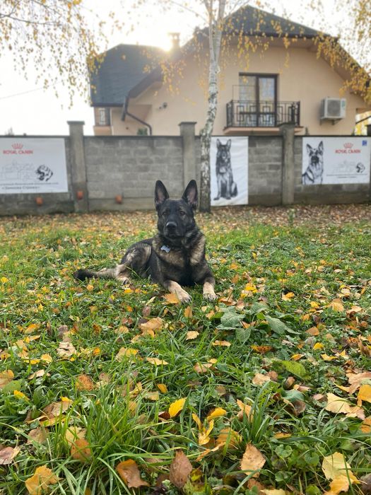 Шукаємо дівчинку для в’язки